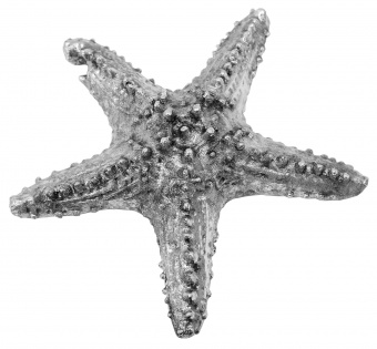 Статуэтка морской звезды