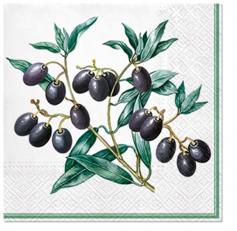 En салфетки оливки с рамкой