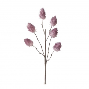 Gałązka