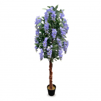 Drzewko Dekoracyjne Wisteria