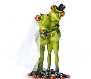 Лягушки Temidy Попугаи 