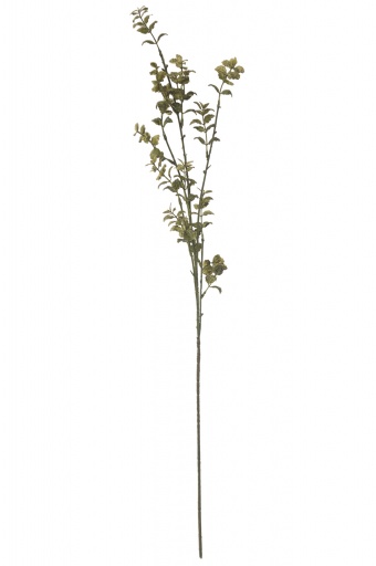 Пл искусственный цветок 63 см спрей Фиттония х 4